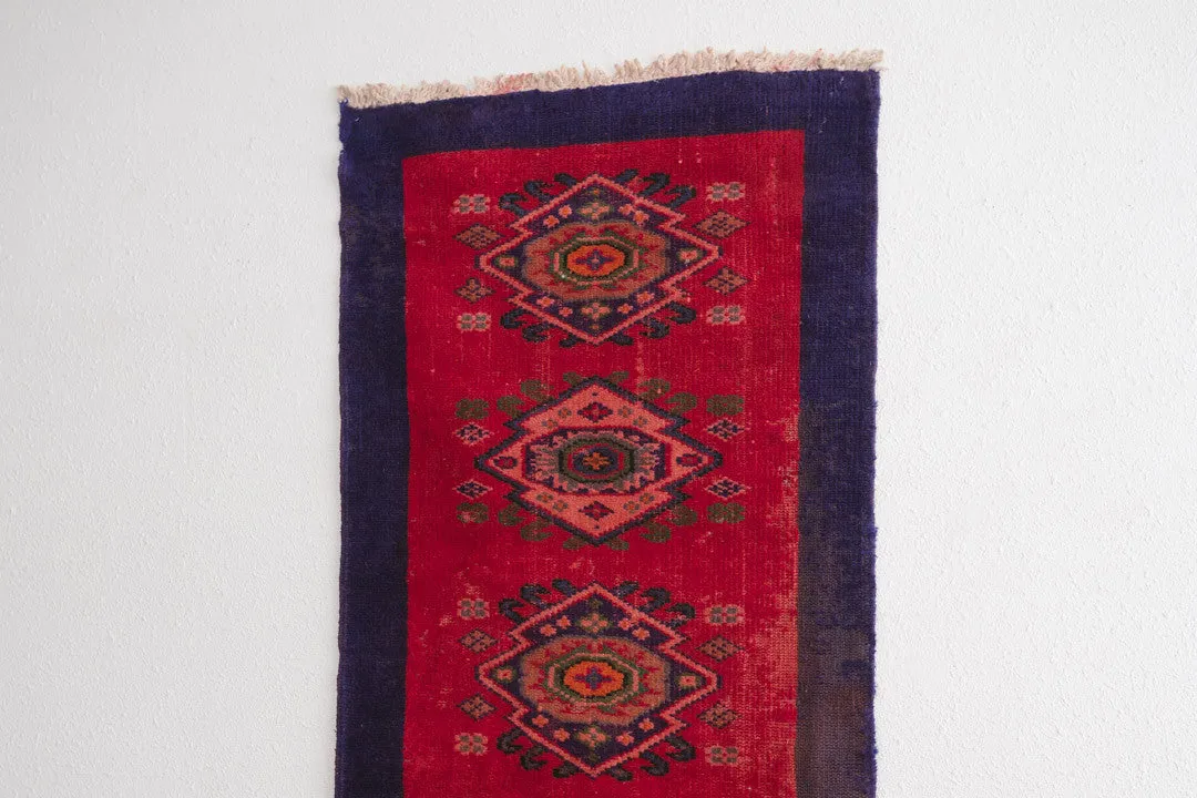 2.5x10 Turkish Rug | BENGI