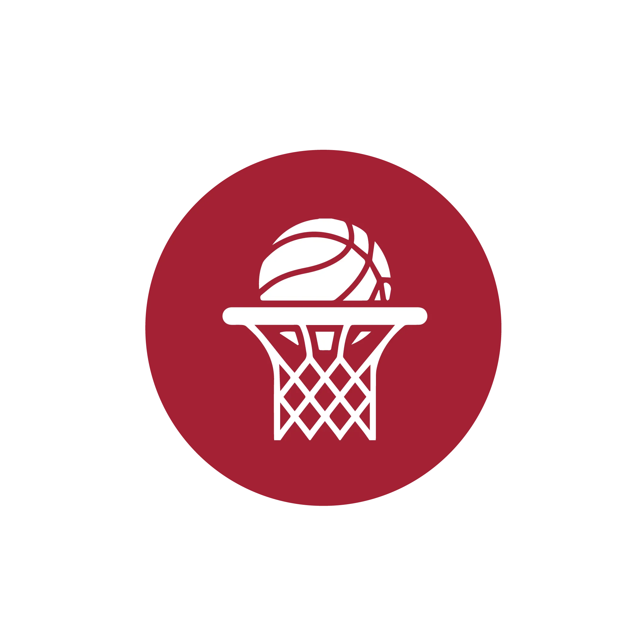 Boys Basketball Camp, Grades 4-8