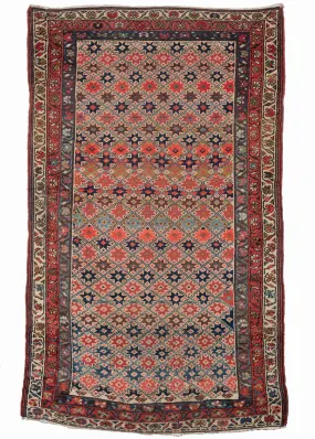Vintage Bidjar Rug - 3'11 x 6'8
